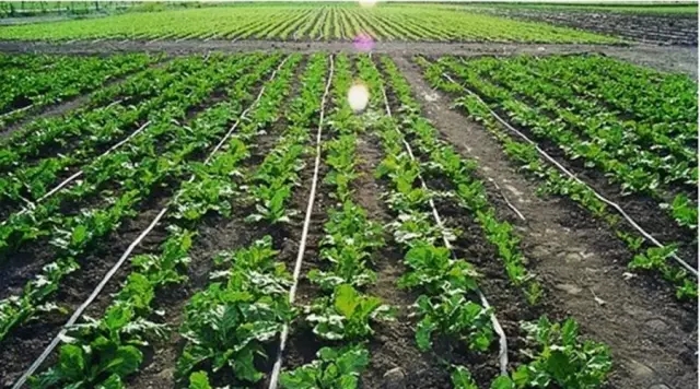 ˮһwg(sh)׃Ї(gu)ǧĂy(tng)r(nng)I(y)